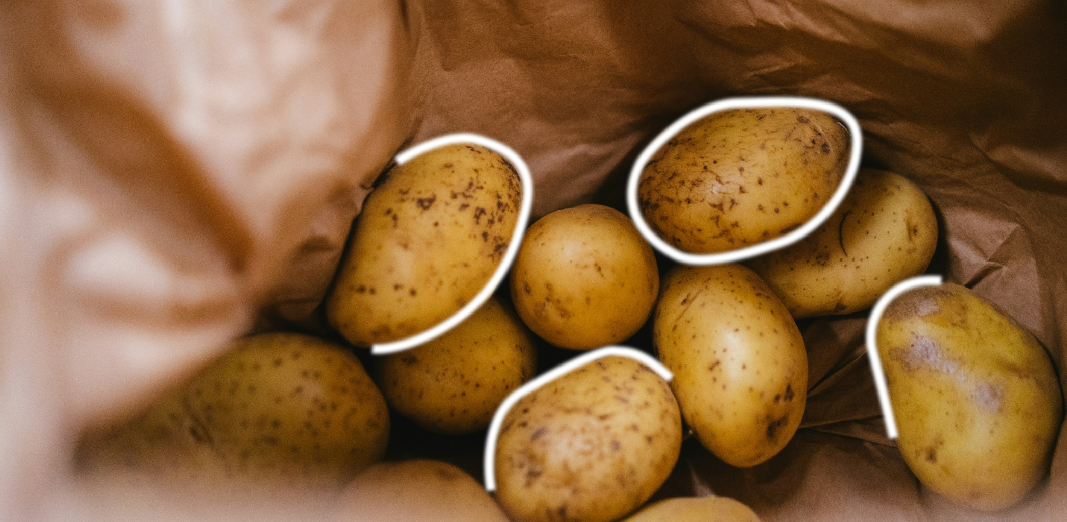 Партизанское садоводство: как огородники высаживают различные культуры на заброшенных участках